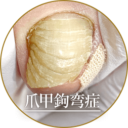 国内トップクラスの症例・施術実績