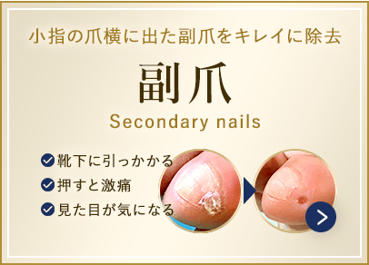 副爪
