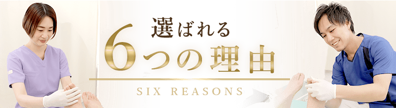 選ばれる6つの理由
